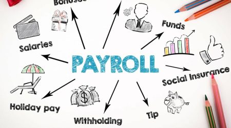 How-Does-HCM-Payroll-Software-Enhance-Accuracy-Using-Technology
